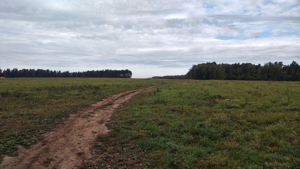 Продам участок 10 соток, ИЖС, Боборыкино д, 0 км от города