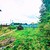 Продам участок 12,5 соток, ИЖС, Филипповское д, 0 км от города