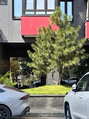 Продам однокомнатную (1-комн.) квартиру, Соколова пр-кт, 68/118к2, Ростов-на-Дону г