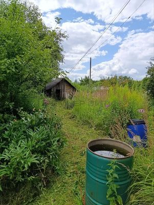 Продам дом, Молодежная ул, Передовик д, 0 км от города