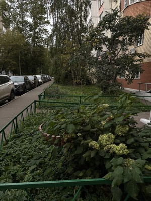 Продам однокомнатную (1-комн.) квартиру, Гоголя ул, 6, Люберцы г