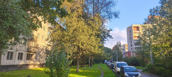 Продам двухкомнатную (2-комн.) квартиру, Карпинского ул, 21а, Санкт-Петербург г