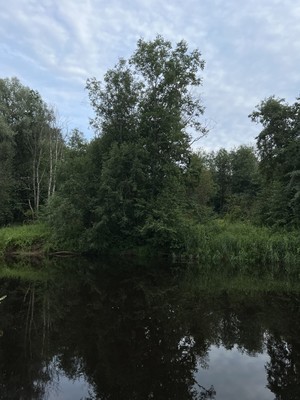 Продам участок 94 соток, ИЖС, Кривец (Ивановское с/п) д, 0 км от города