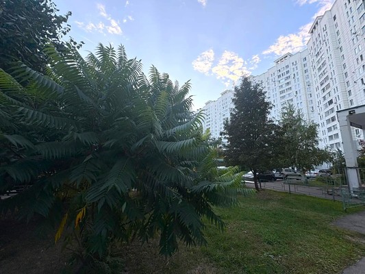 Продам двухкомнатную (2-комн.) квартиру, 43-й Армии ул, 15, Подольск г