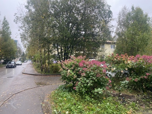 Продам двухкомнатную (2-комн.) квартиру, Агалатовское ш, 142, Сарженка д