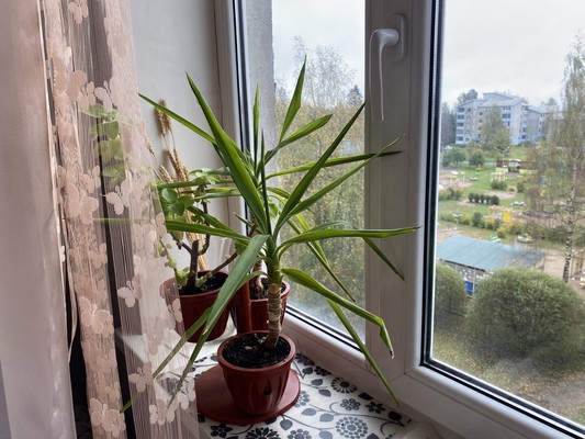 Продам двухкомнатную (2-комн.) квартиру, Агалатовское ш, 142, Сарженка д