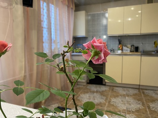 Продам двухкомнатную (2-комн.) квартиру, Агалатовское ш, 142, Сарженка д