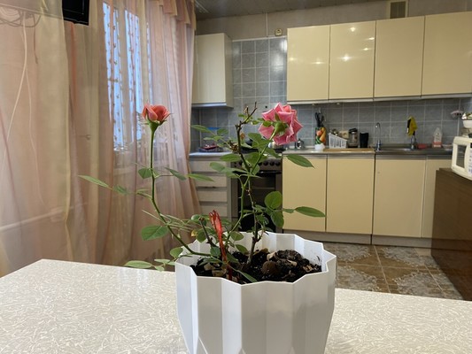 Продам двухкомнатную (2-комн.) квартиру, Агалатовское ш, 142, Сарженка д