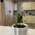 Продам двухкомнатную (2-комн.) квартиру, Агалатовское ш, 142, Сарженка д