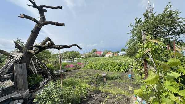 Продам дом, Фрунзе ул, 87, Курганинск г, 0 км от города