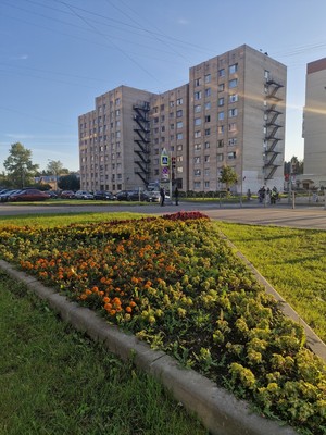 Продам комнату в 8-комн. квартире, Авангардная ул, 31а, Санкт-Петербург г