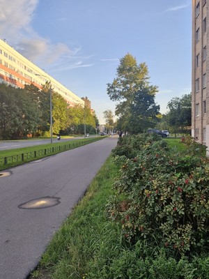 Продам комнату в 8-комн. квартире, Авангардная ул, 31а, Санкт-Петербург г
