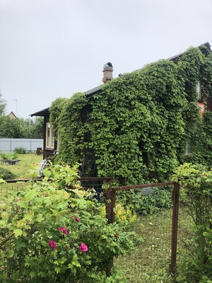 Продам дачу в поселке Сокольники, Сокольники тер. СНТ, 69, Орехово д, 50 км от города