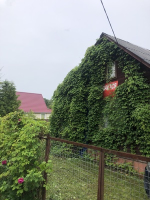 Продам дачу в поселке Сокольники, Сокольники тер. СНТ, 69, Орехово д, 50 км от города