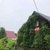 Продам дачу в поселке Сокольники, Сокольники тер. СНТ, 69, Орехово д, 50 км от города