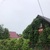 Продам дачу в поселке Сокольники, Сокольники тер. СНТ, 69, Орехово д, 50 км от города
