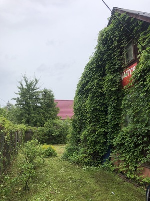 Продам дачу в поселке Сокольники, Сокольники тер. СНТ, 69, Орехово д, 50 км от города
