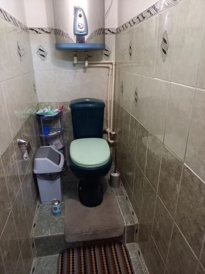 Продам трехкомнатную (3-комн.) квартиру, Школьная ул, 19, Русско-Семеновский п