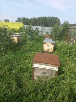 Продам трехкомнатную (3-комн.) квартиру, Школьная ул, 19, Русско-Семеновский п