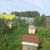 Продам трехкомнатную (3-комн.) квартиру, Школьная ул, 19, Русско-Семеновский п