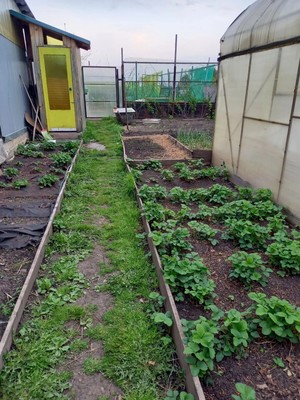 Продам трехкомнатную (3-комн.) квартиру, Школьная ул, 19, Русско-Семеновский п