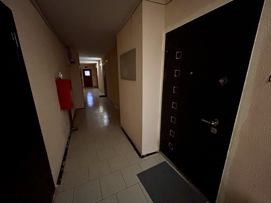 Продам многокомнатную квартиру, Шишкова ул, 72/3, Воронеж г