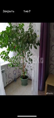 Сдам однокомнатную (1-комн.) квартиру, Ленина ул, 252, Горячий Ключ г