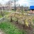 Продам двухкомнатную (2-комн.) квартиру, Мира ул, 2, Тихорецк г
