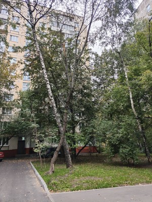 Продам однокомнатную (1-комн.) квартиру, Парковая 3-я ул, 25, Москва г