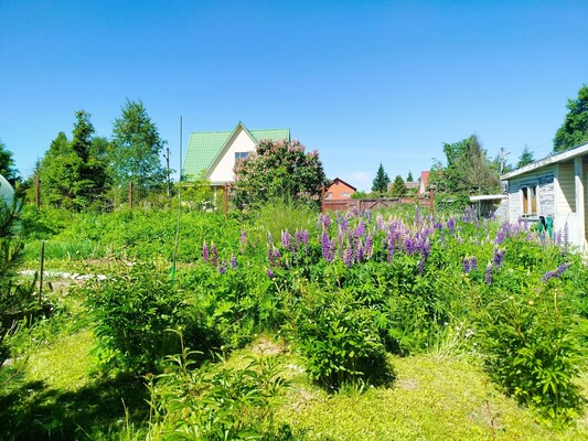 Продам дачу в поселке СНТ Топаз, Садки д, 50 км от города