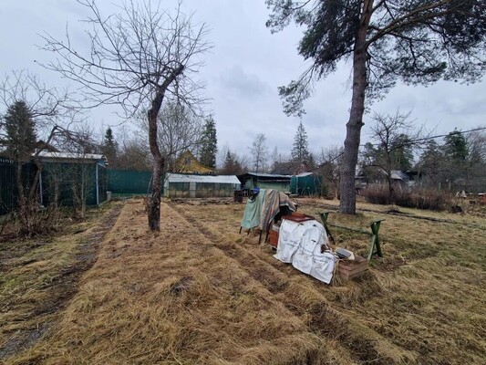Продам дачу в поселке Холщевики, СНТ Елочки тер, дом 33, станции Холщёвики п, 50 км от города