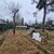 Продам дачу в поселке Холщевики, СНТ Елочки тер, дом 33, станции Холщёвики п, 50 км от города