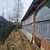 Продам дачу в поселке Холщевики, СНТ Елочки тер, дом 33, станции Холщёвики п, 50 км от города