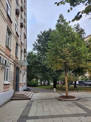 Продам двухкомнатную (2-комн.) квартиру, Оружейный пер, 25, Москва г
