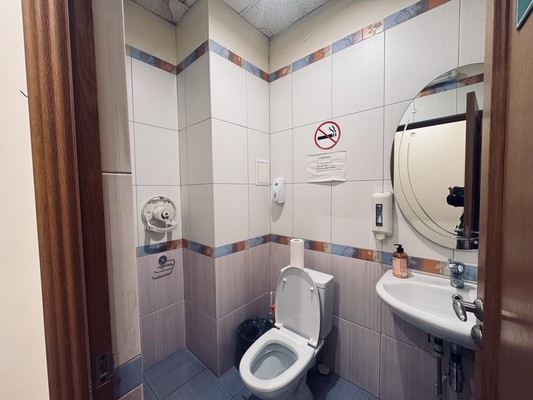 Сдам торговое помещение 250 м2, Радужная ул, 1, Троицк г