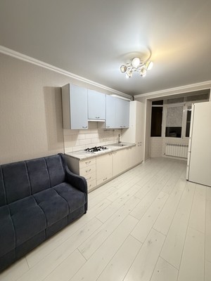 Продам однокомнатную (1-комн.) квартиру, Ленина ул, 392, Шалушка с