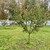 Продам дачу, Григорьевское д, 0 км от города