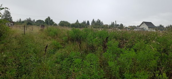 Продам участок 12 соток, ИЖС, Велигонты д, 0 км от города