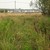 Продам участок 12 соток, ИЖС, Велигонты д, 0 км от города