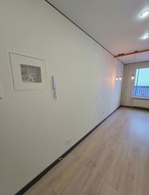 Продам однокомнатную (1-комн.) квартиру, Центральный (Купелинка мкр) кв-л, 9, Сапроново д