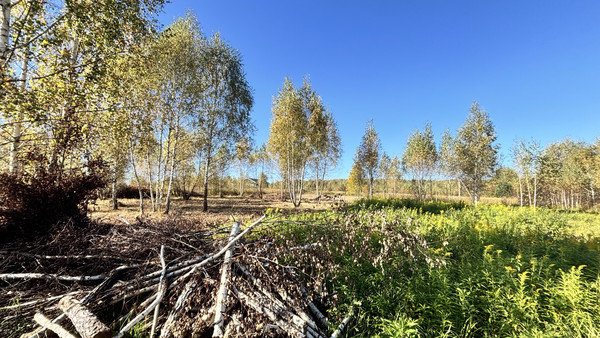 Продам участок 10 соток, ИЖС, Усады п, 0 км от города