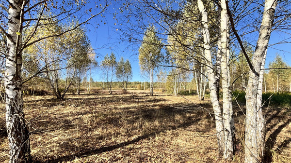 Продам участок 10 соток, ИЖС, Усады п, 0 км от города