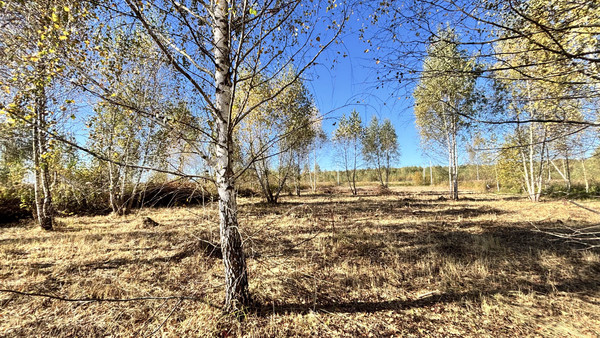 Продам участок 10 соток, ИЖС, Усады п, 0 км от города