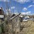 Продам дачу, СНТ Лесное тер. СНТ, Куяр п, 0 км от города