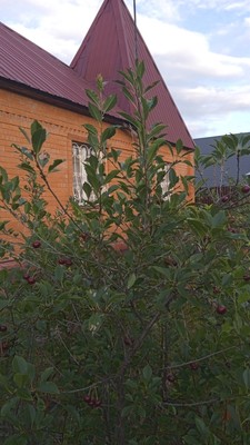 Продам коттедж, Геологов ул, 56, Ханты-Мансийск г, 0 км от города