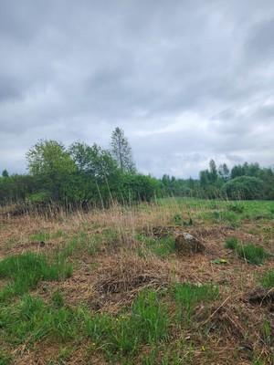 Продам участок 20 соток, Садоводство, Отрадное п ст ДНТ Радуга дп, 0 км от города