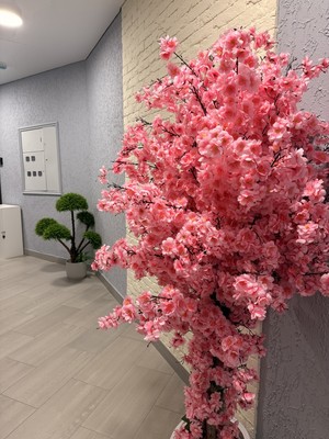 Продам двухкомнатную (2-комн.) квартиру, Тлостанова ул, 32кА3, Нальчик г