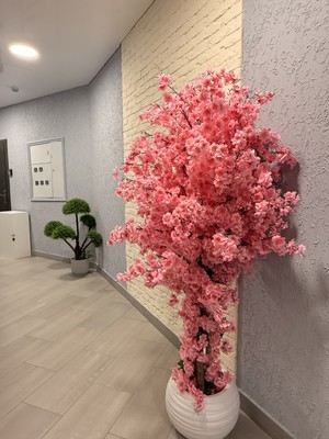 Продам двухкомнатную (2-комн.) квартиру, Тлостанова ул, 32кА3, Нальчик г