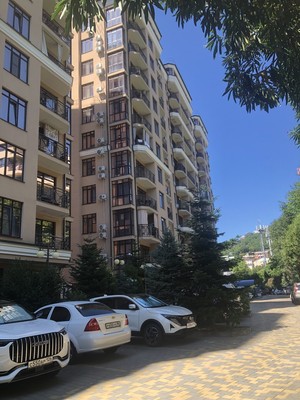 Продам однокомнатную (1-комн.) квартиру, Донская (Центральный р-н) ул, 108а, Сочи г