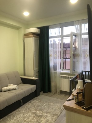 Продам однокомнатную (1-комн.) квартиру, Донская (Центральный р-н) ул, 108а, Сочи г